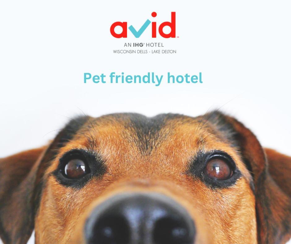 Avid Hotel Wisconsin Dells Lake Delton By Ihg Extérieur photo
